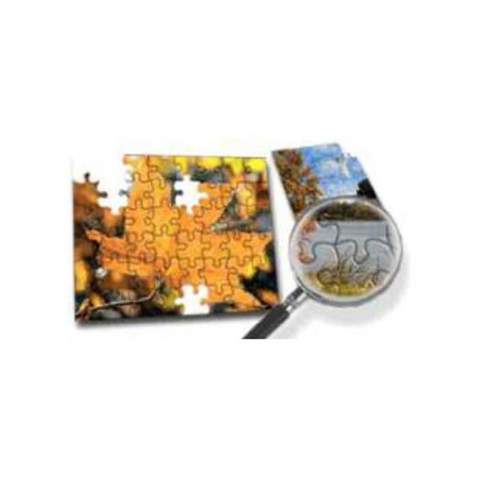 Puzzle magnetico